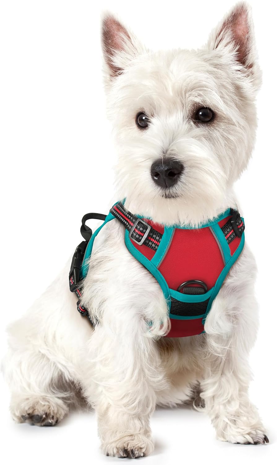 rabbitgoo Dog Harness Dog No Pull Pet Harness | PetNestUK
