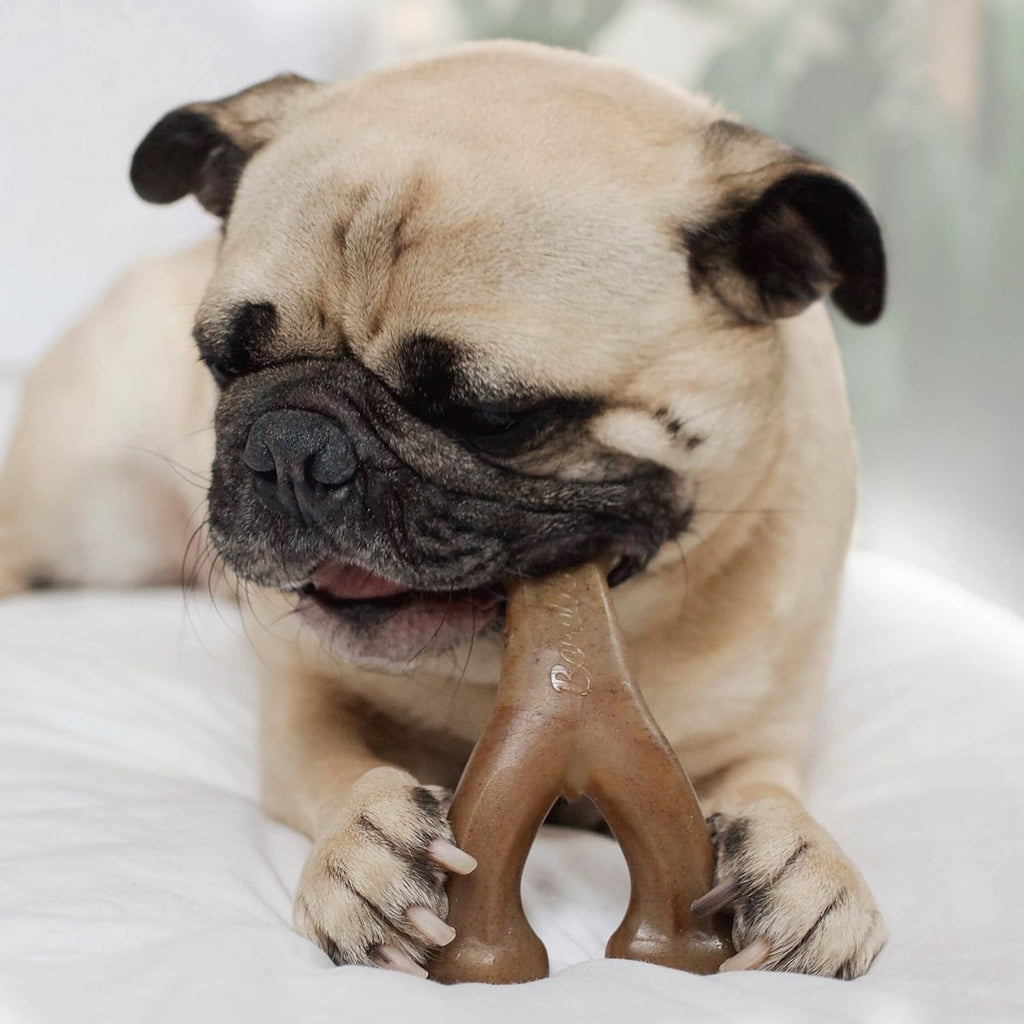 Benebone Durable Dog Chew Toy Box for Aggressive | PetNestUK