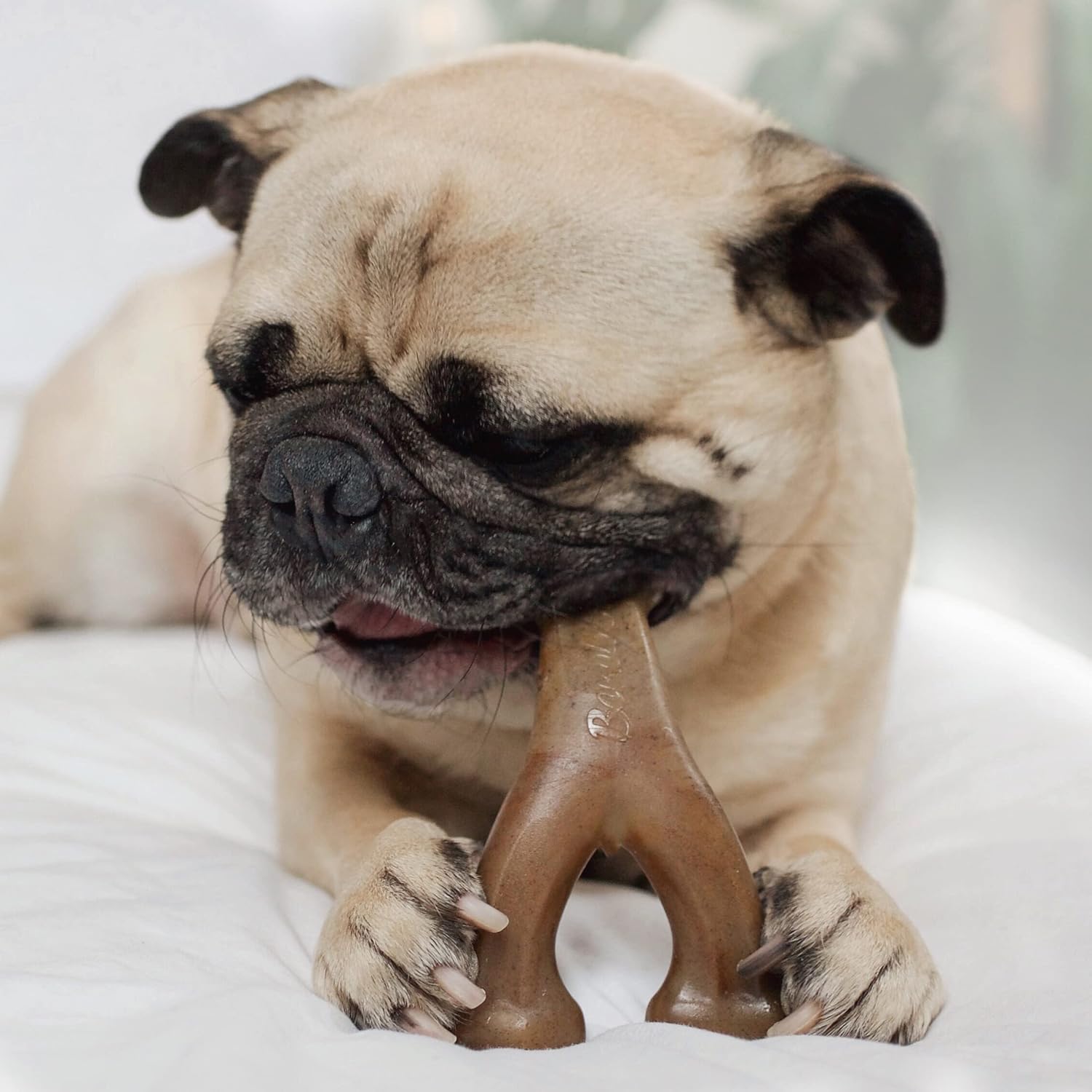 Benebone Durable Dog Chew Toy Box for Aggressive | PetNestUK