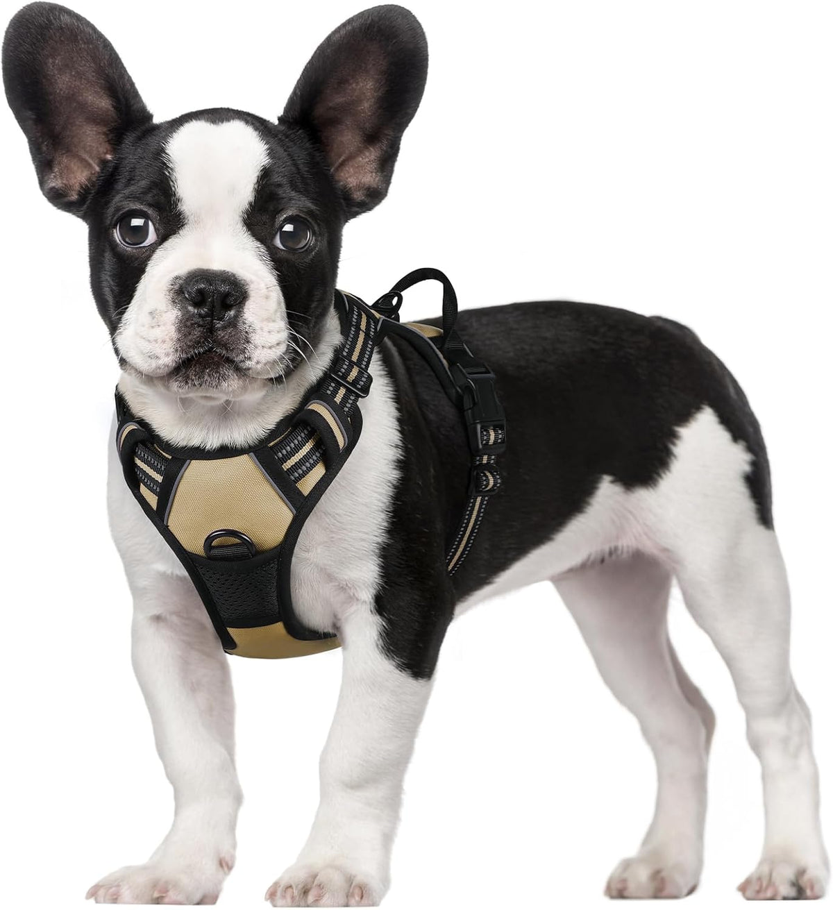 rabbitgoo Padded Dog Harness with Two Lead Clips