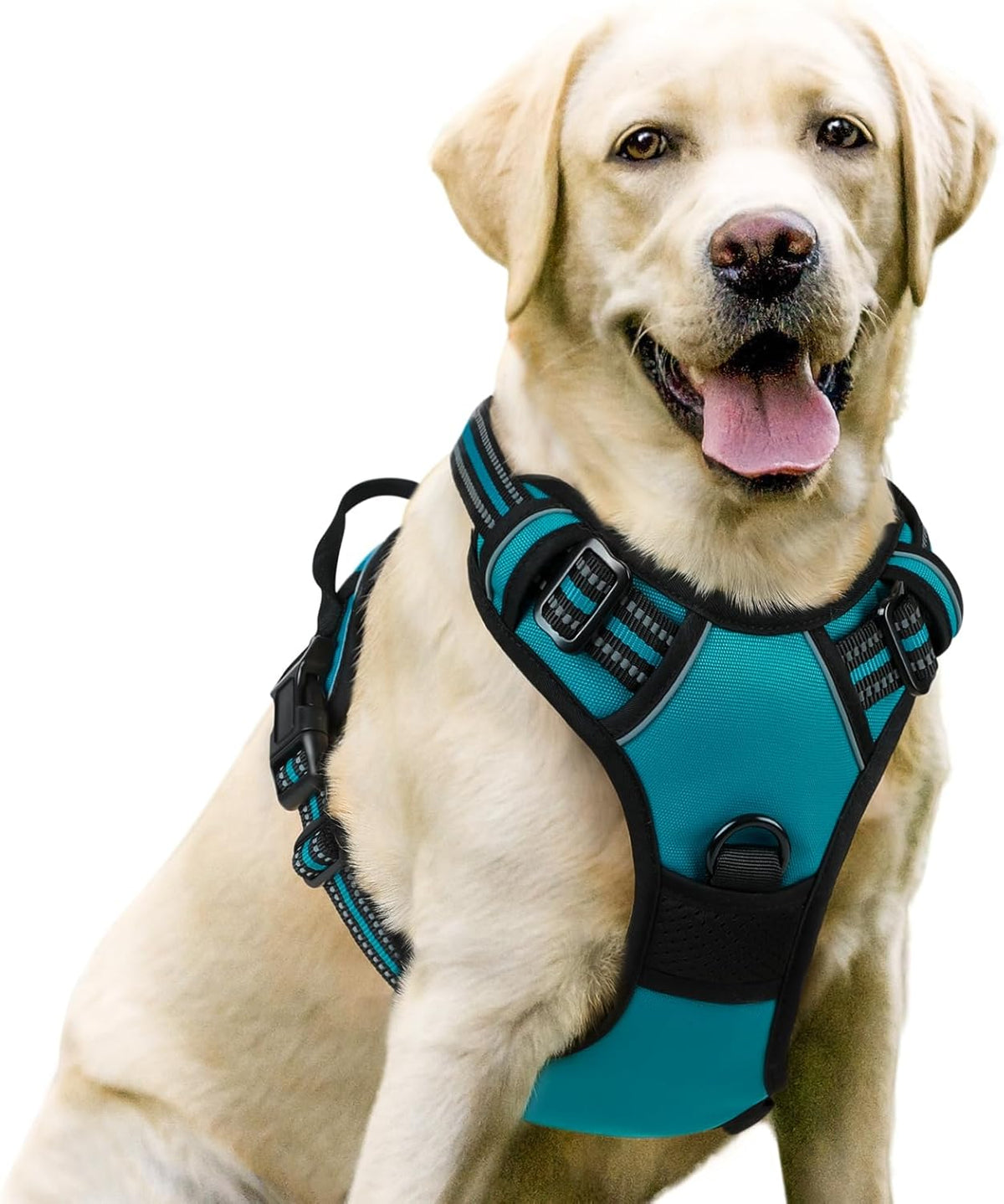 rabbitgoo Padded Dog Harness with Two Lead Clips