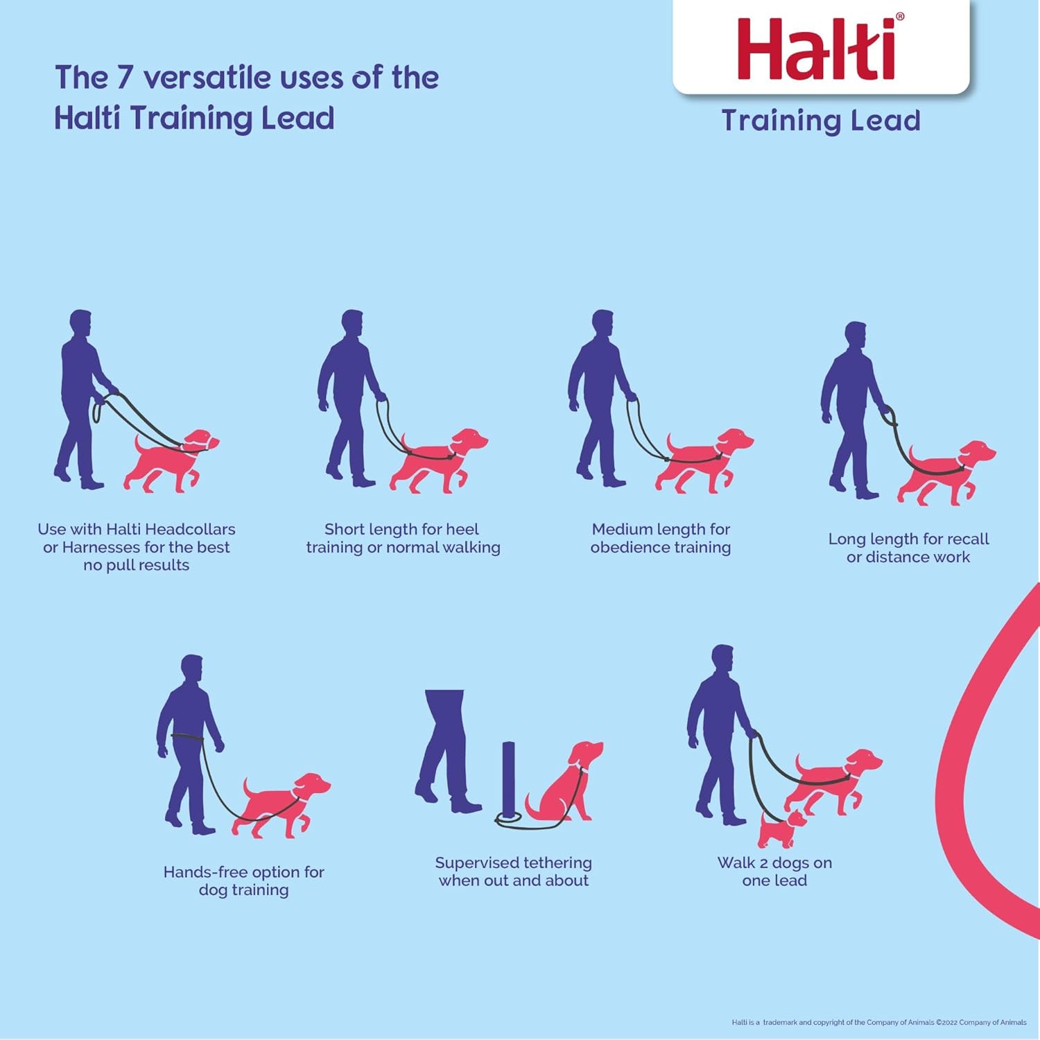 HALTI Training Lead | PetNestUK