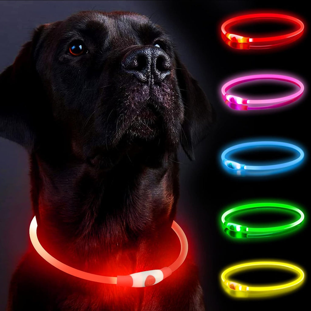 SerDa-Run Light Up Dog Collar, Dog Collar Lights | PetNestUK