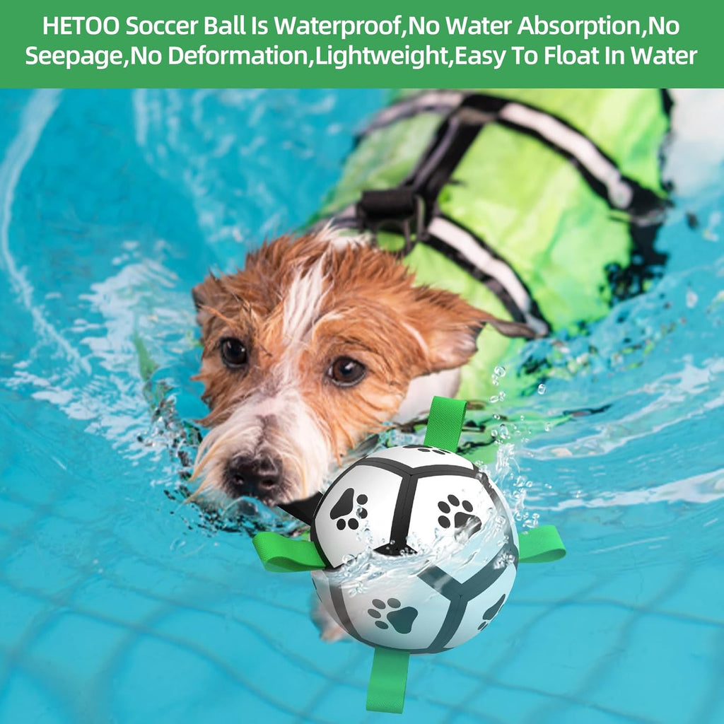 HETOO Interactive Dog Football Toys with Grab | PetNestUK