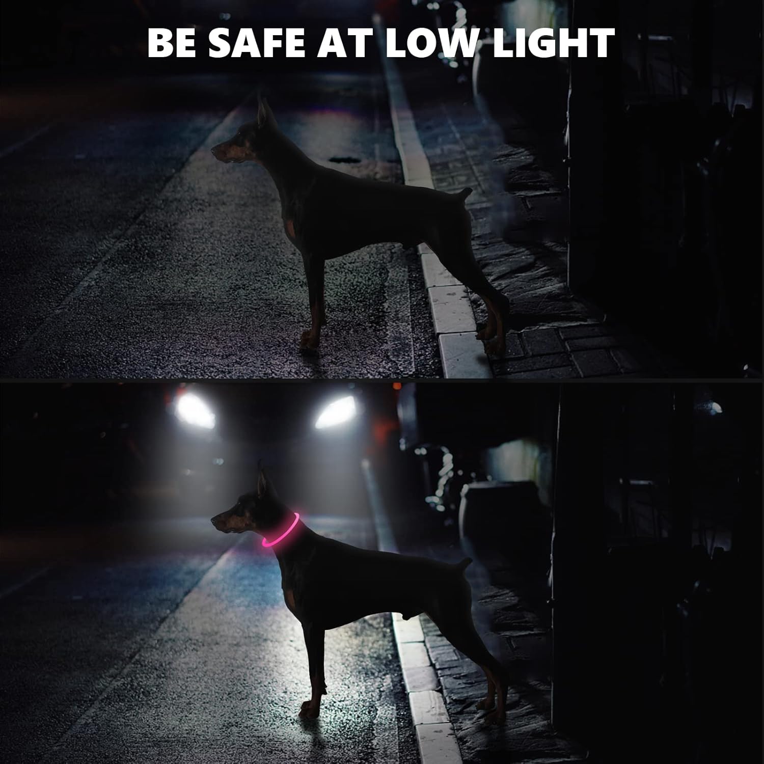 SerDa-Run Light Up Dog Collar, Dog Collar Lights | PetNestUK