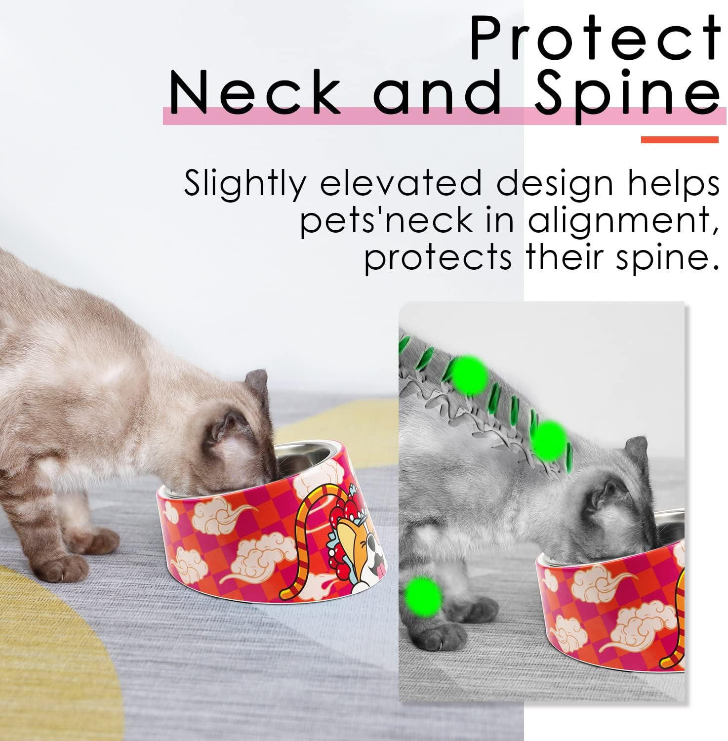 SuperDesign Mess Free 15° Slanted Bowl for Dogs | PetNestUK