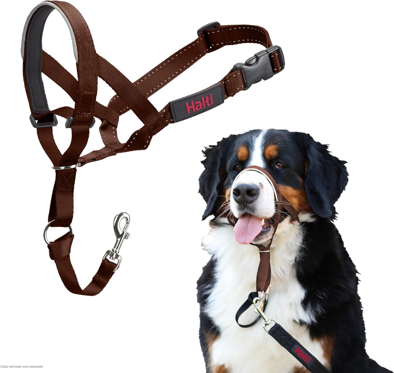 HALTI Headcollar, UK Bestselling Harness to Stop | PetNestUK