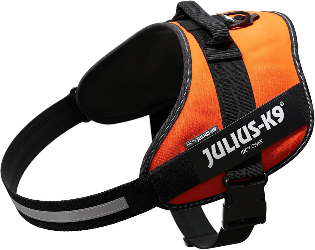 Julius-K9, 16IDC-P-0, IDC Powerharness, dog | PetNestUK