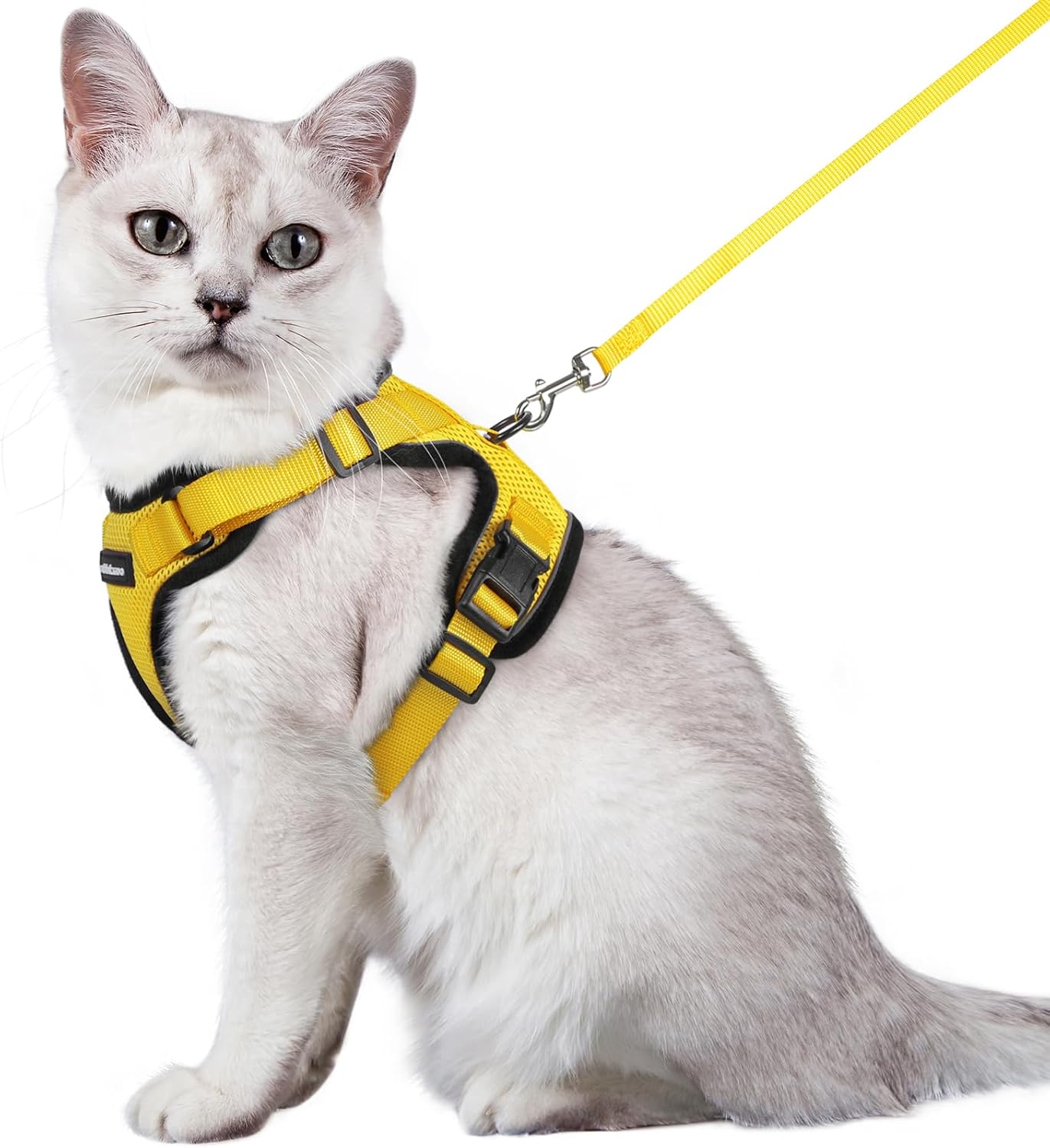 rabbitgoo Cat Harness and Lead Set, Escape Proof | PetNestUK