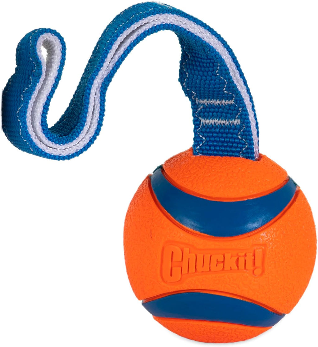 Chuckit! Ultra Tug Dog Toy