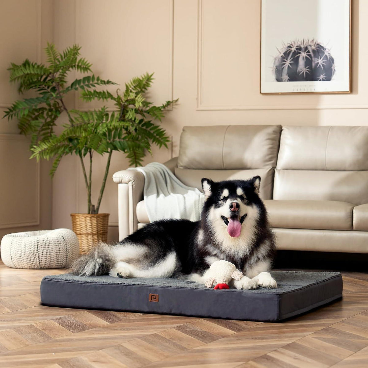 EHEYCIGA Foam Dog Mattress with Removable Cover