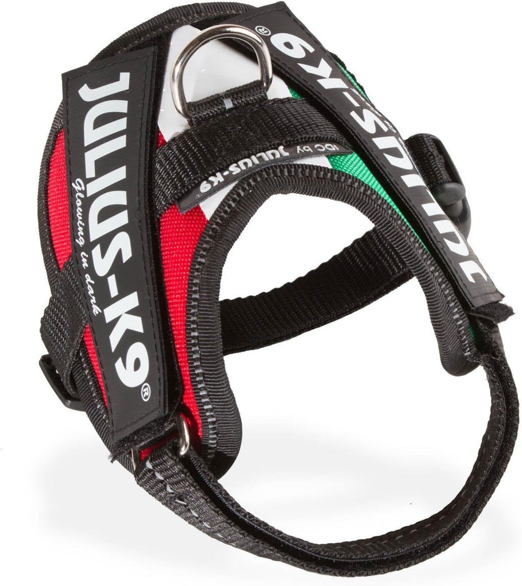 Julius-K9 IDC Powerharness for Small Dogs