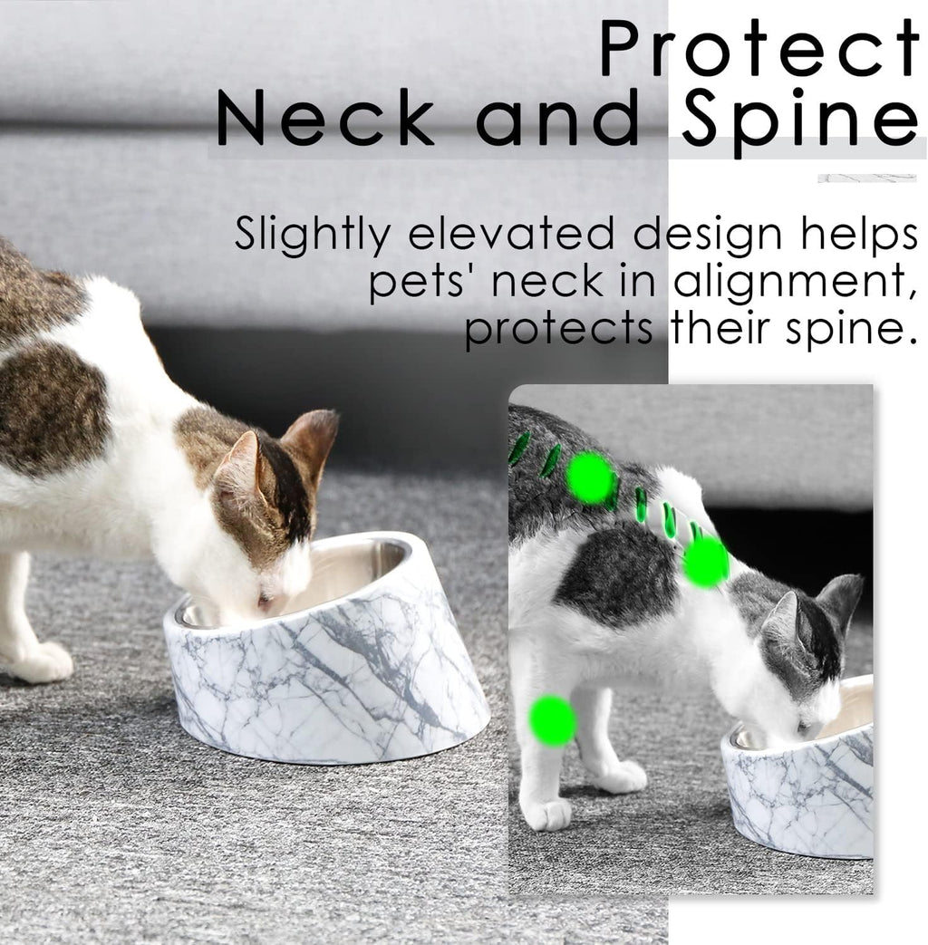 SuperDesign Slanted Stainless-Steel Pet Bowl