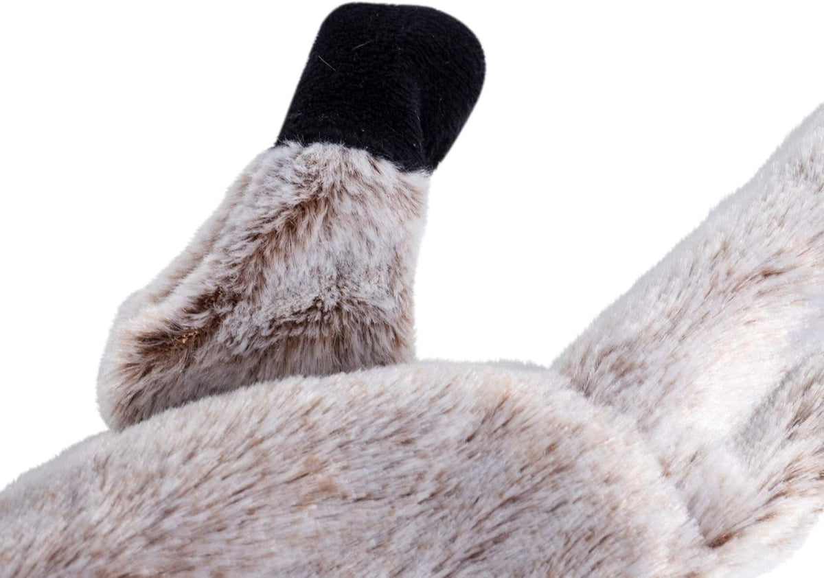 Petface Plush and Squeaky Dog Toys