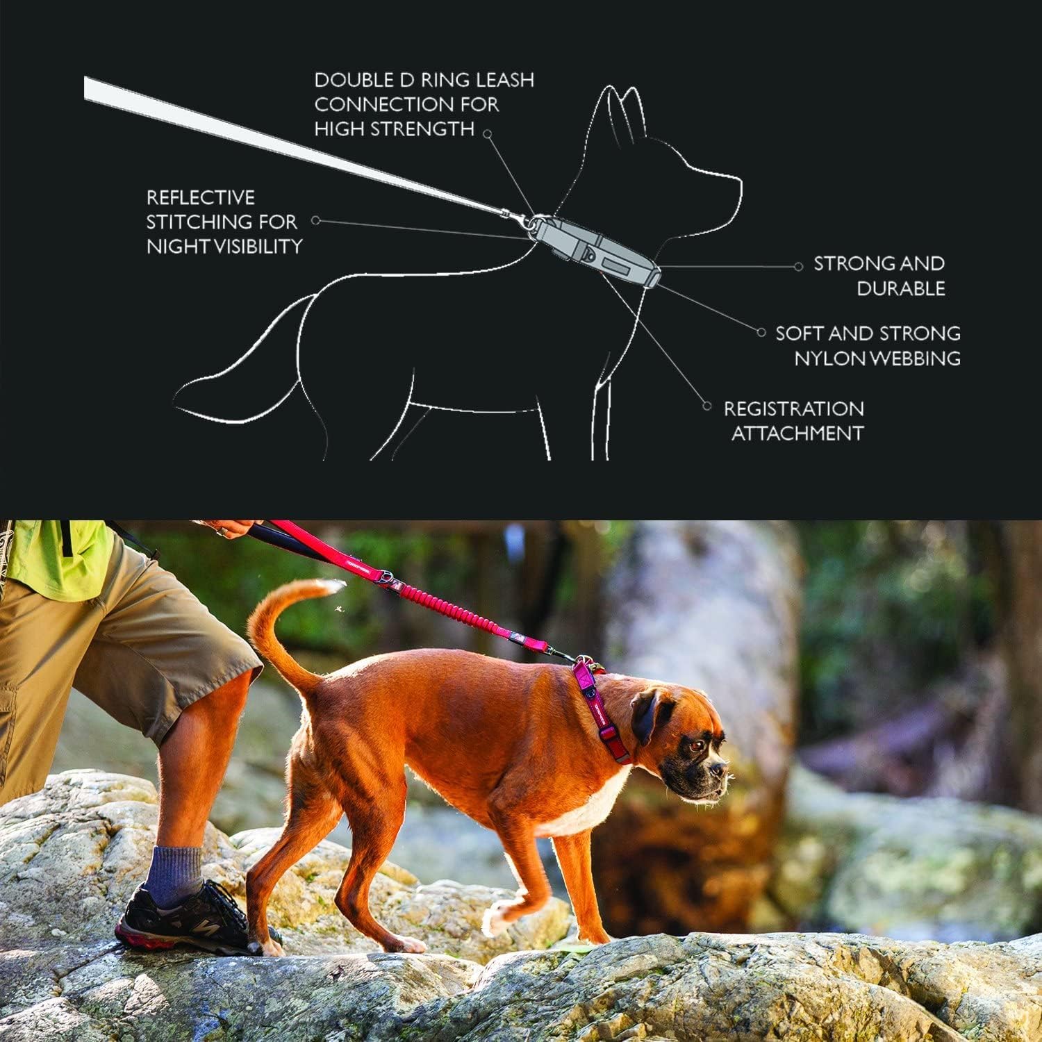 EZYDOG Double Up Dog Collar | PetNestUK