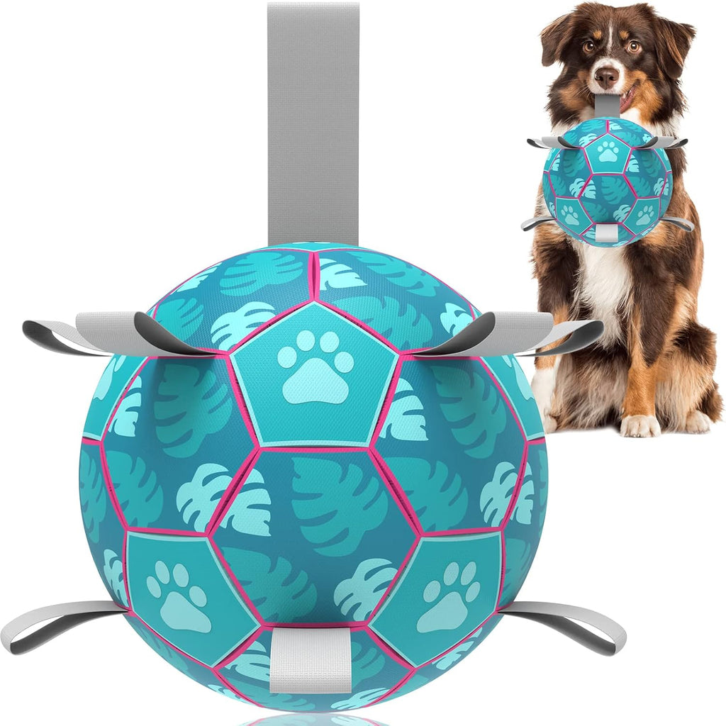 HETOO Interactive Dog Football Toys with Grab | PetNestUK