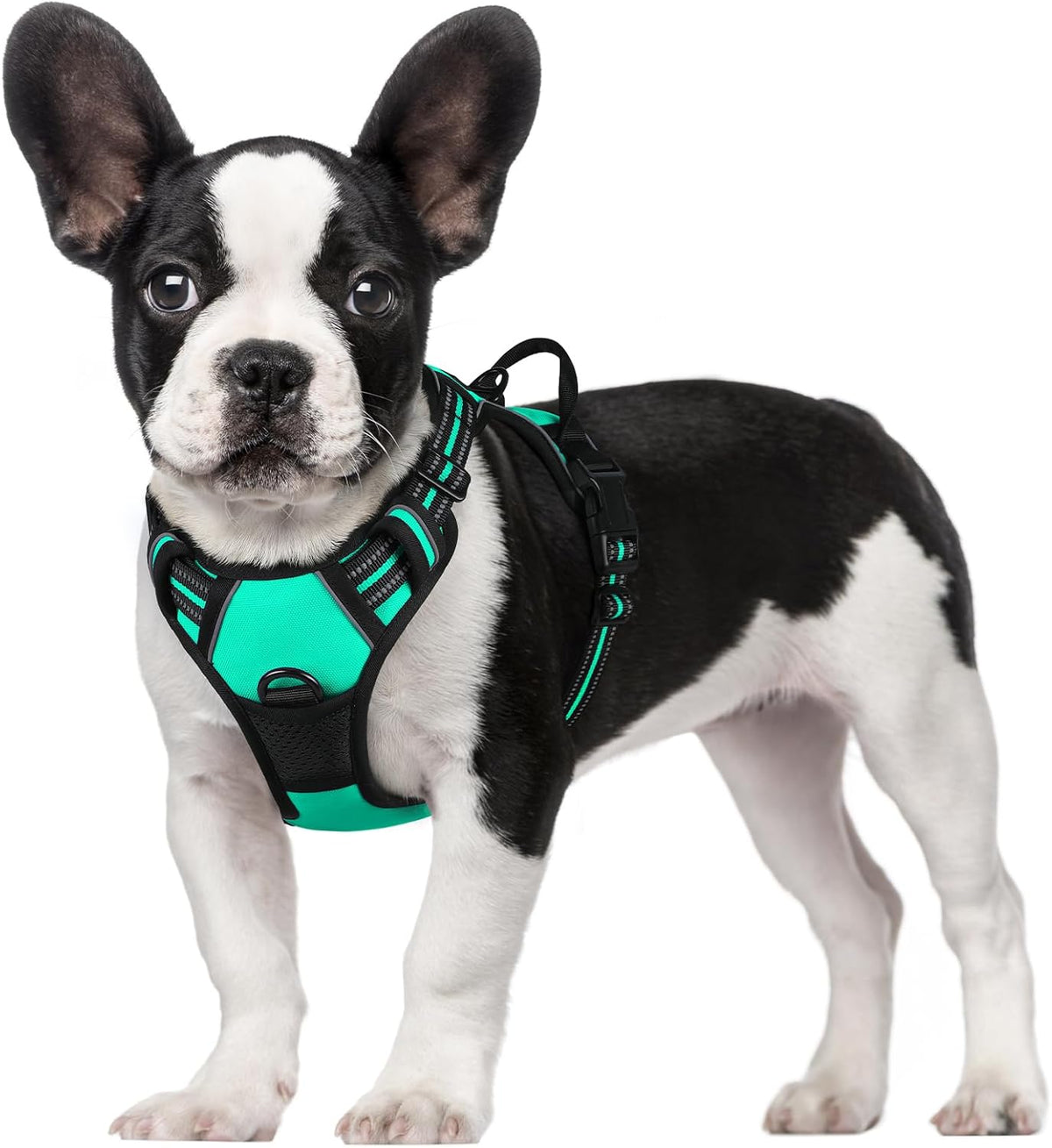 rabbitgoo Padded Dog Harness with Two Lead Clips