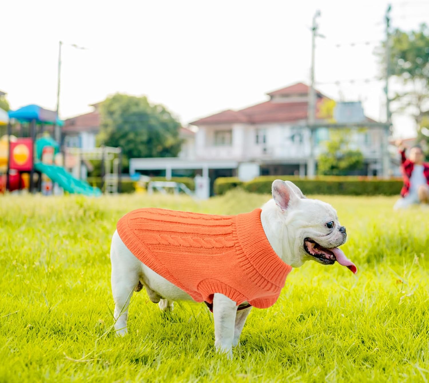 Small Dog Jumper, Warm Puppy Sweater for Small | PetNestUK