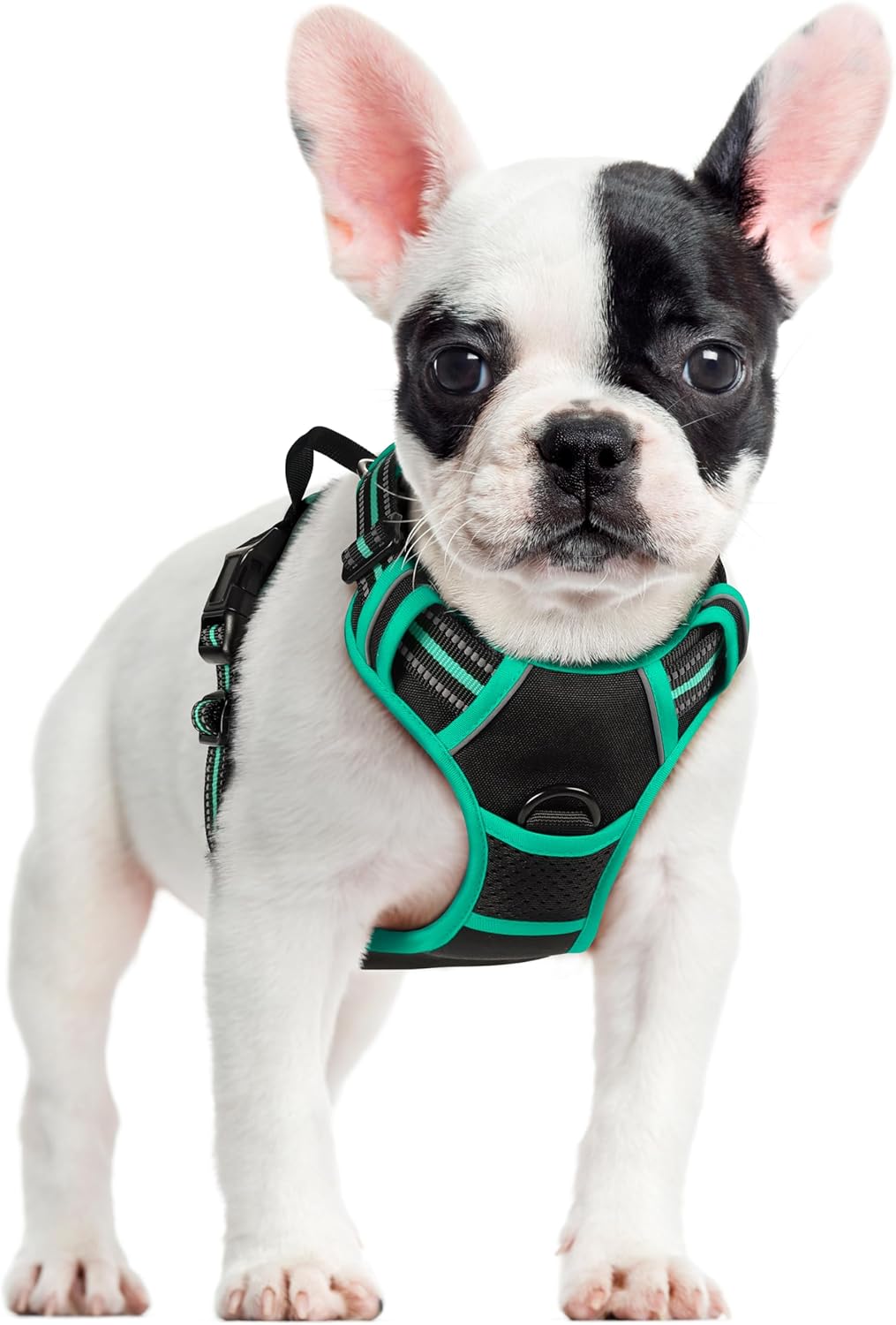 rabbitgoo Dog Harness Dog No Pull Pet Harness | PetNestUK