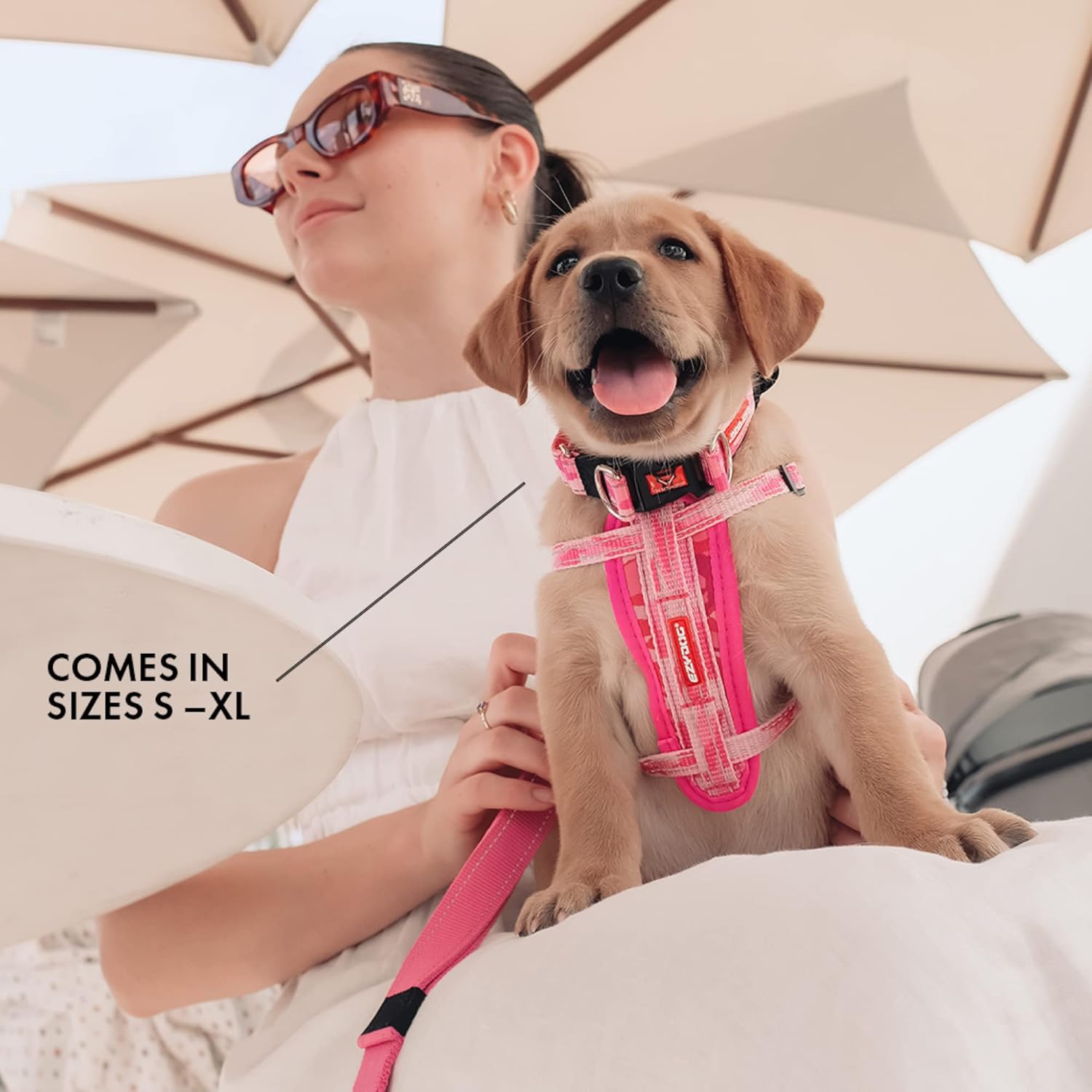 EZYDOG Double Up Dog Collar | PetNestUK