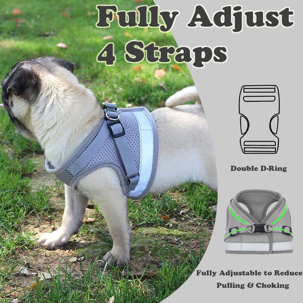 Anlitent Soft Mesh No Pull Cat Harness and Lead | PetNestUK