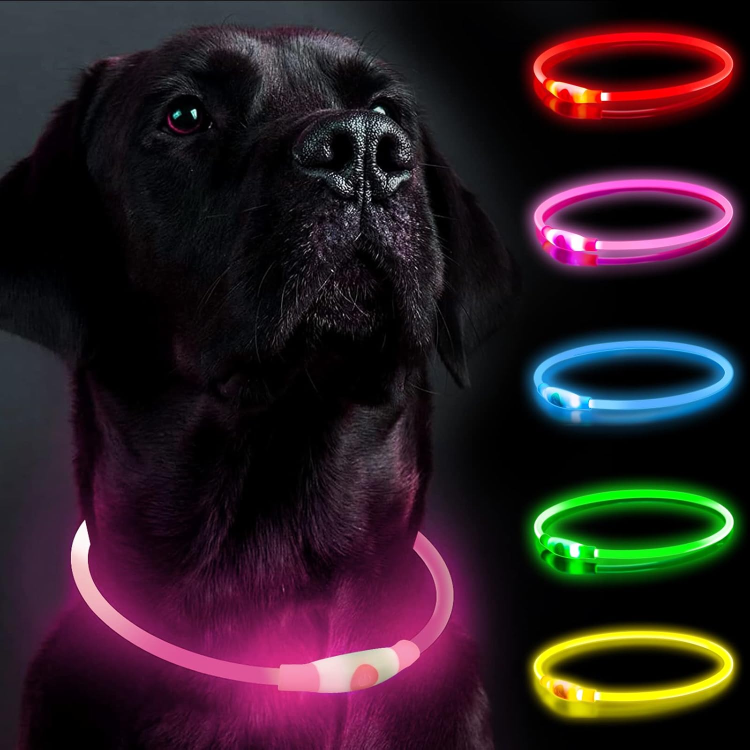 SerDa-Run Light Up Dog Collar, Dog Collar Lights | PetNestUK
