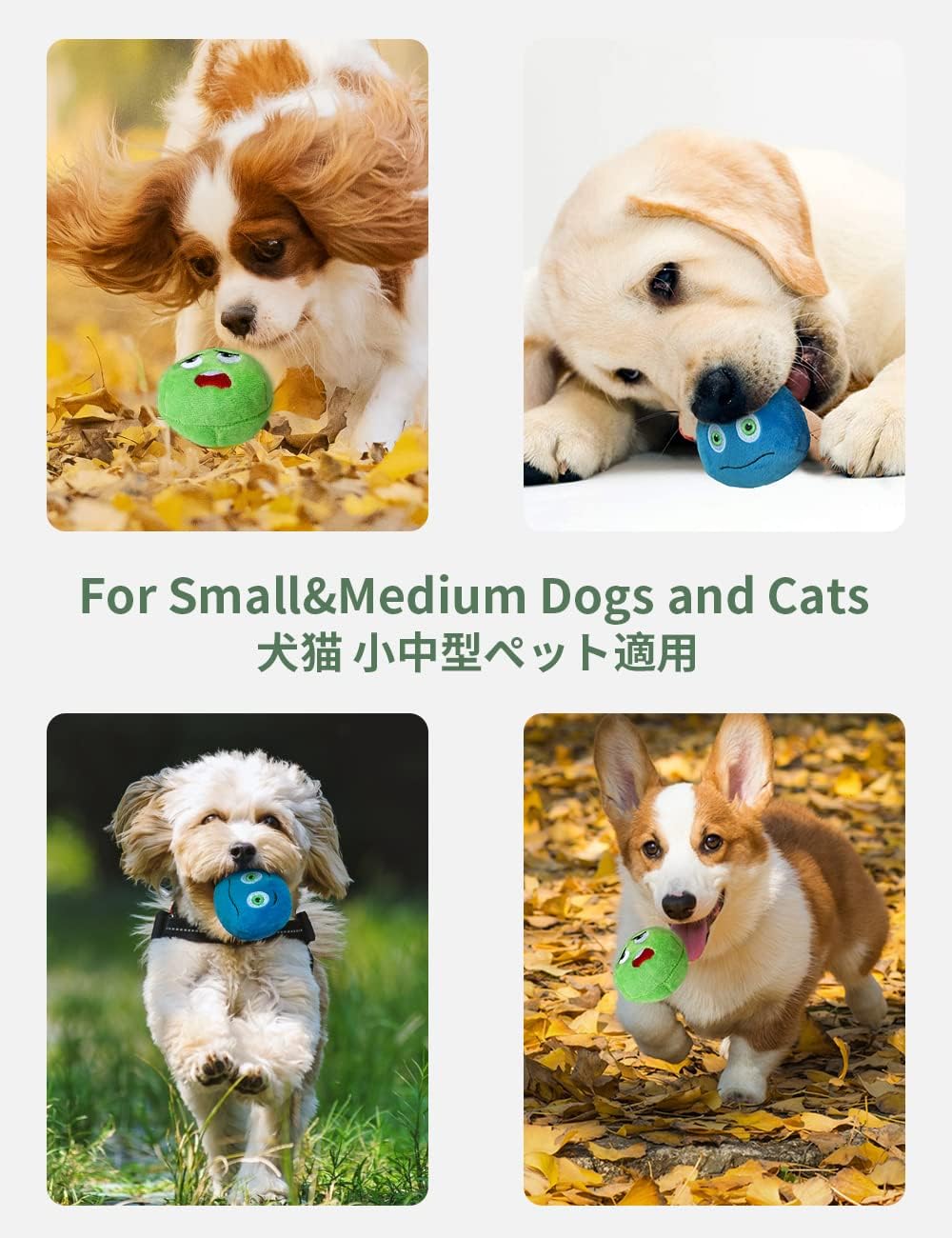 TONGKTAI Dog Toys, Soft Stuffed Plush Balls Pet | PetNestUK