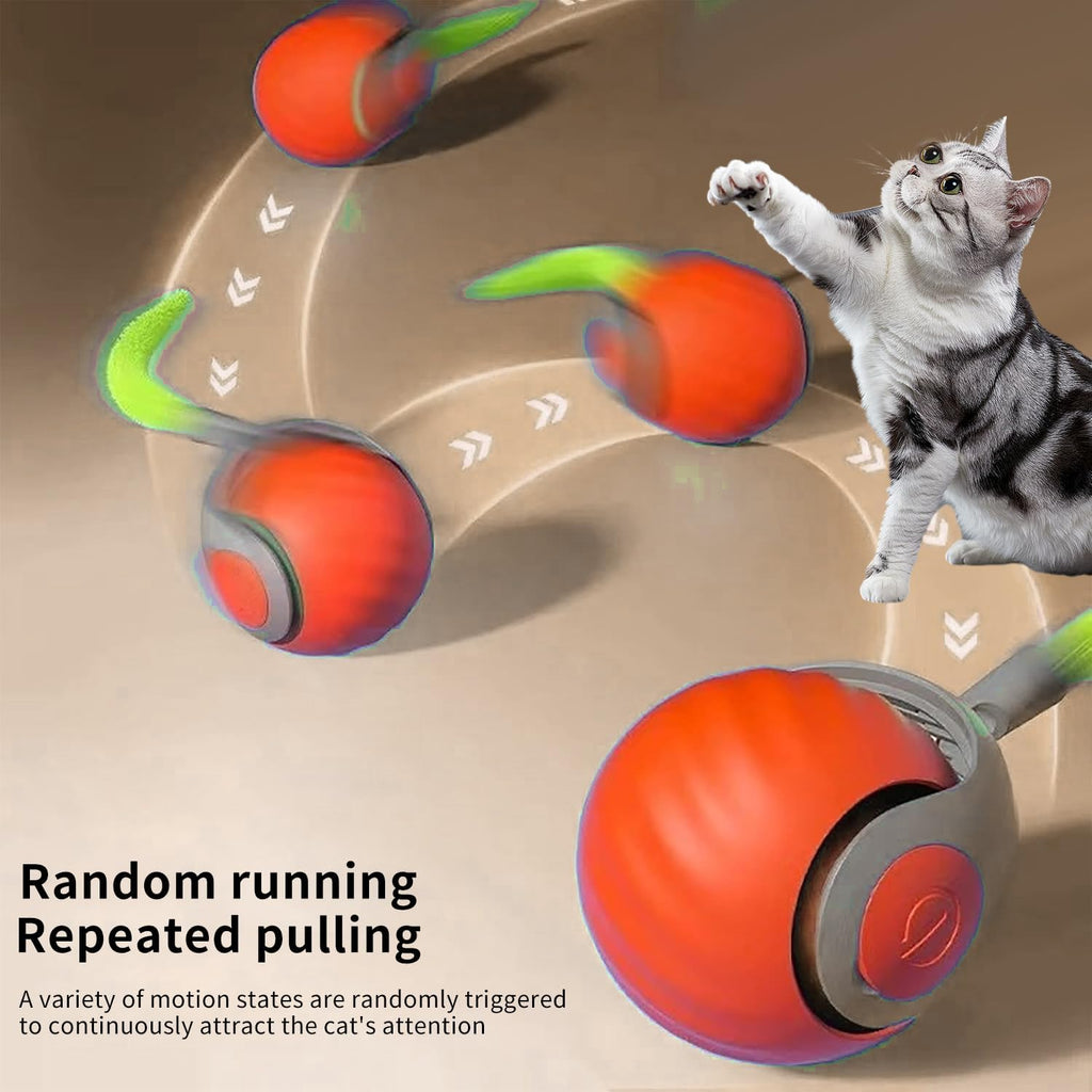 Speedy Tail Cat Toy, Speedy Tail 2.0, Smart | PetNestUK