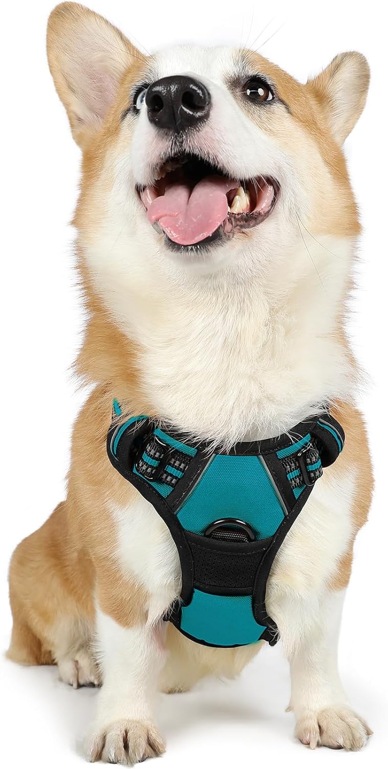 rabbitgoo Padded Dog Harness with Two Lead Clips