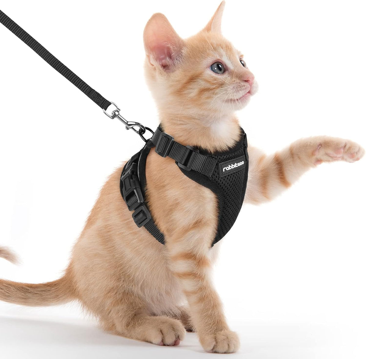 rabbitgoo Adjustable Cat Harness and Lead Set