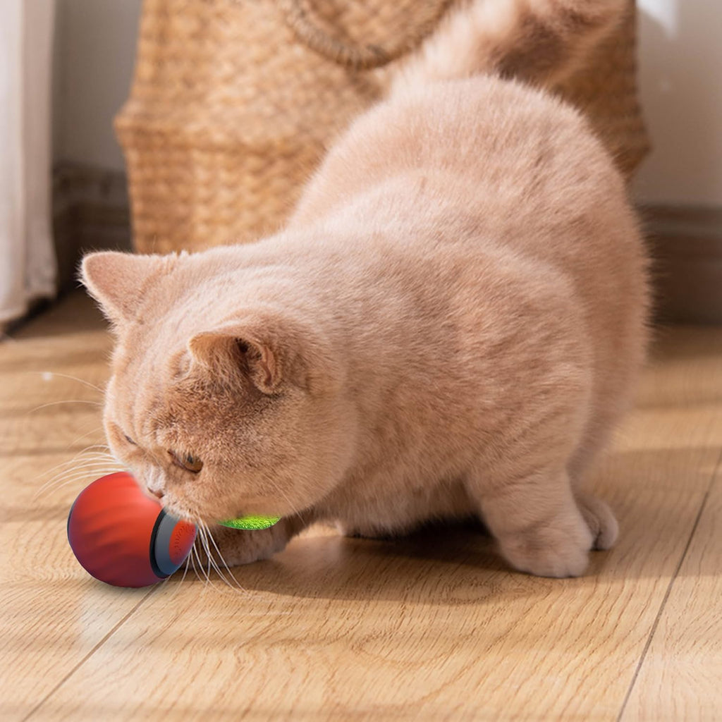 Speedy Tail Cat Toy, Speedy Tail 2.0, Smart | PetNestUK