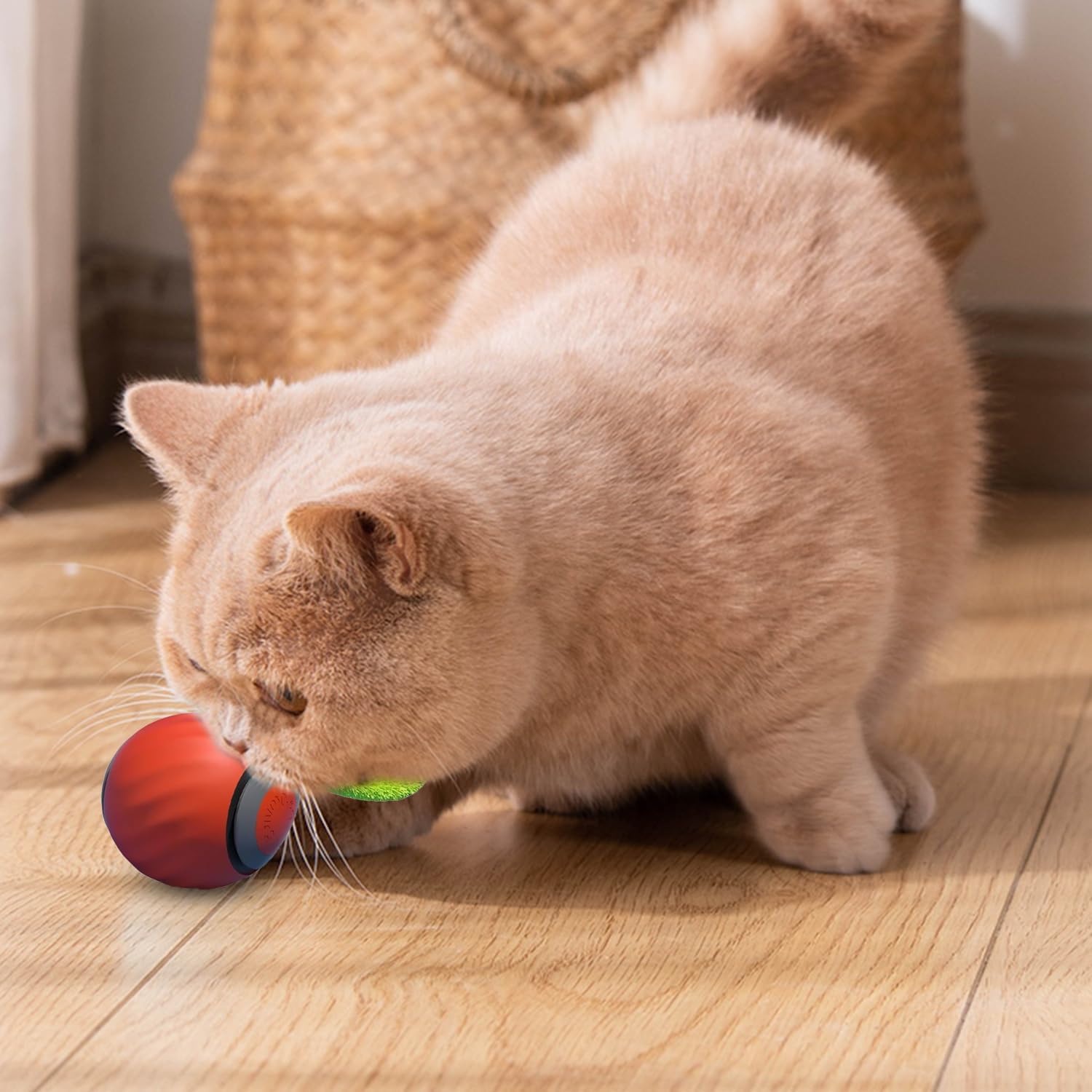 Speedy Tail Cat Toy, Speedy Tail 2.0, Smart | PetNestUK