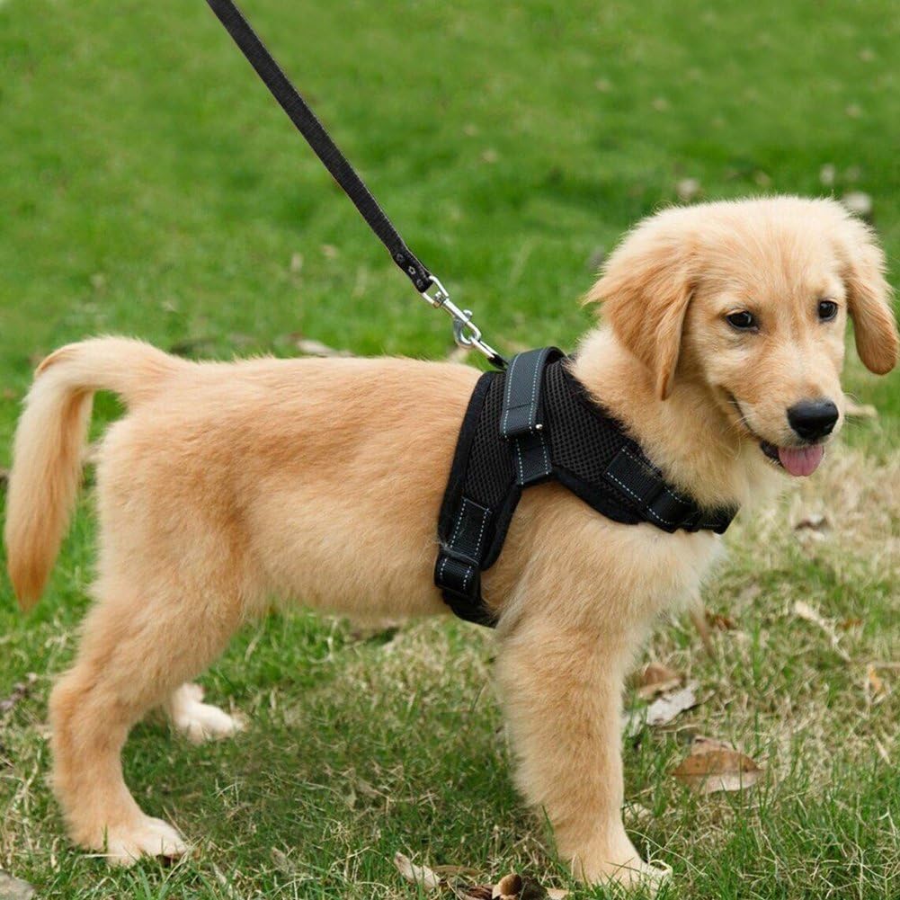 Dog Harness Mesh Breathable Comfortable Pet Vest | PetNestUK