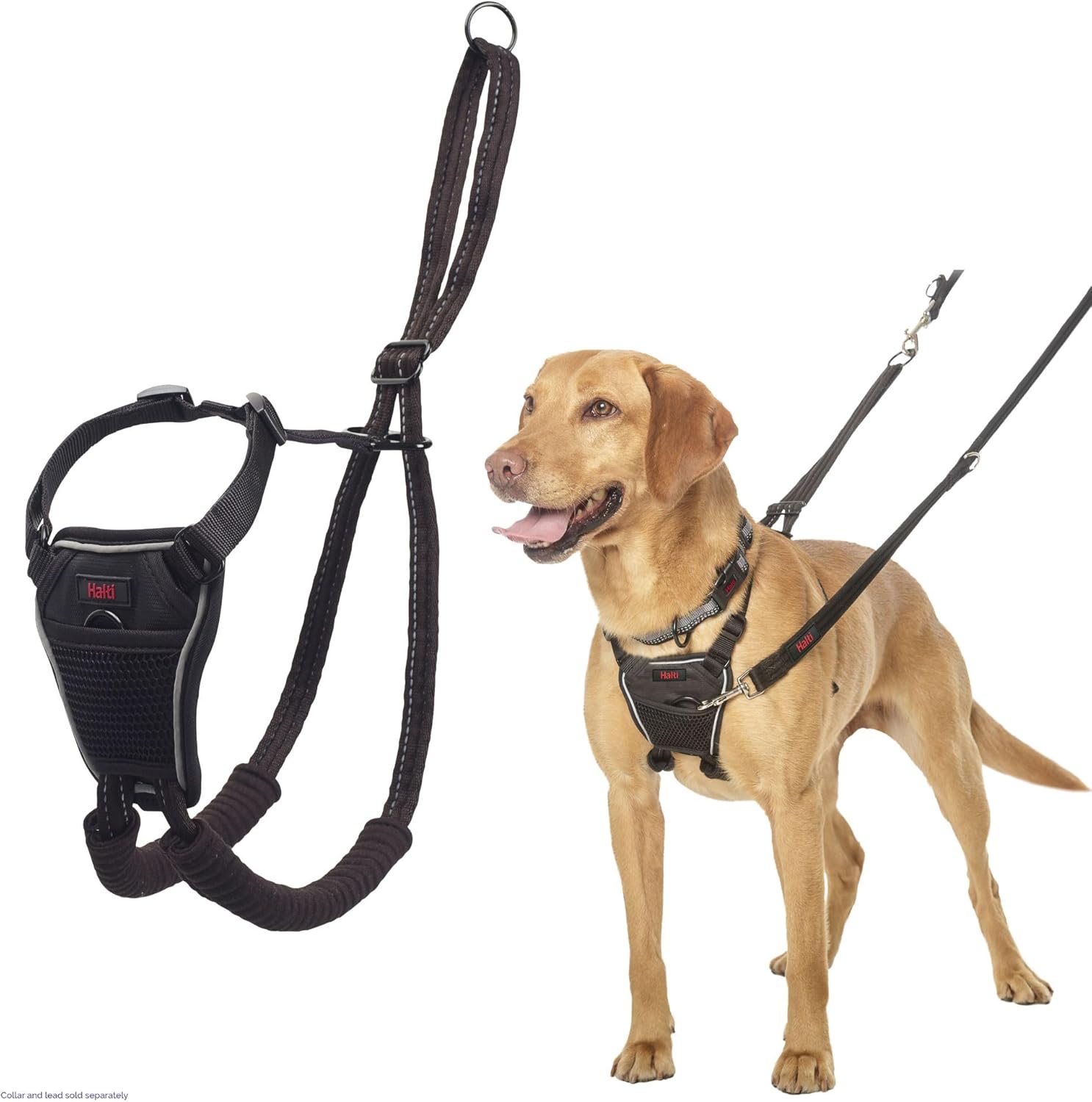 HALTI No Pull Harness Size Medium, Professional | PetNestUK