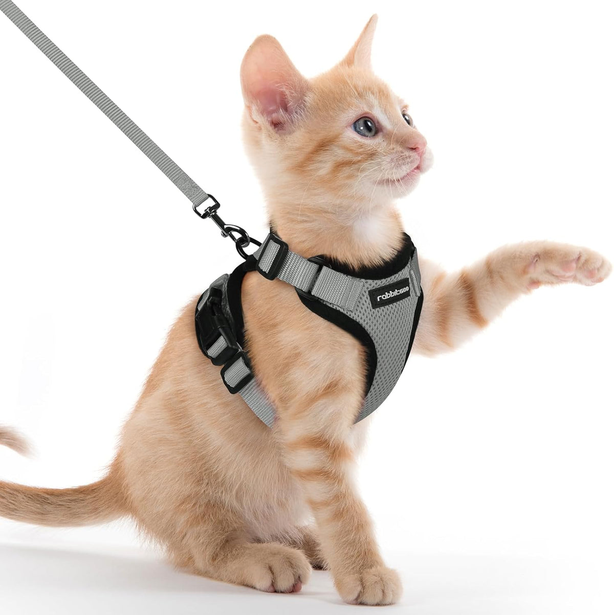rabbitgoo Adjustable Cat Harness and Lead Set