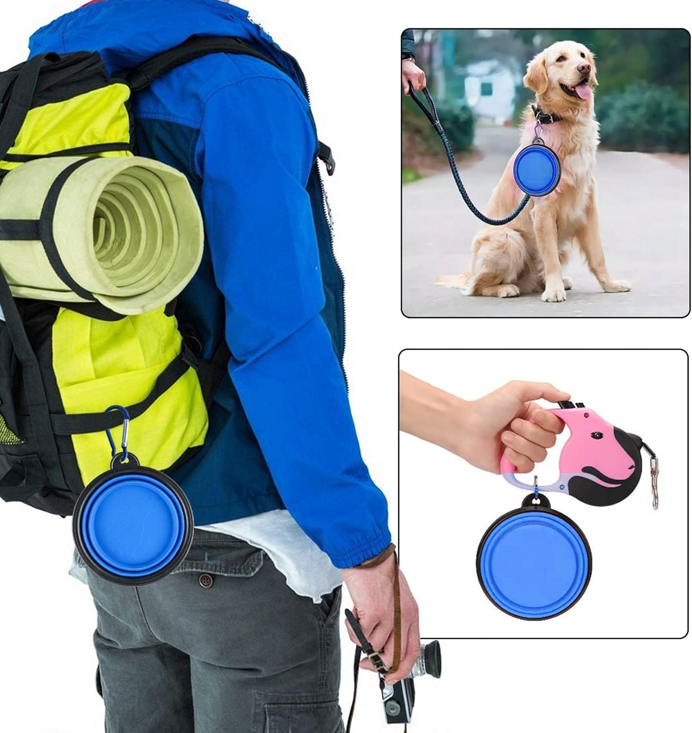 Collapsible Dog Bowl,Collapsible Dog Water Bowls | PetNestUK