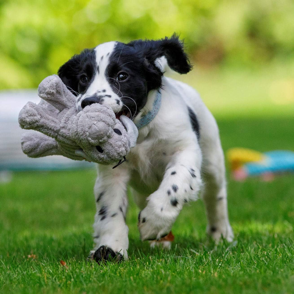 Little Petface Plush Puppy Toys