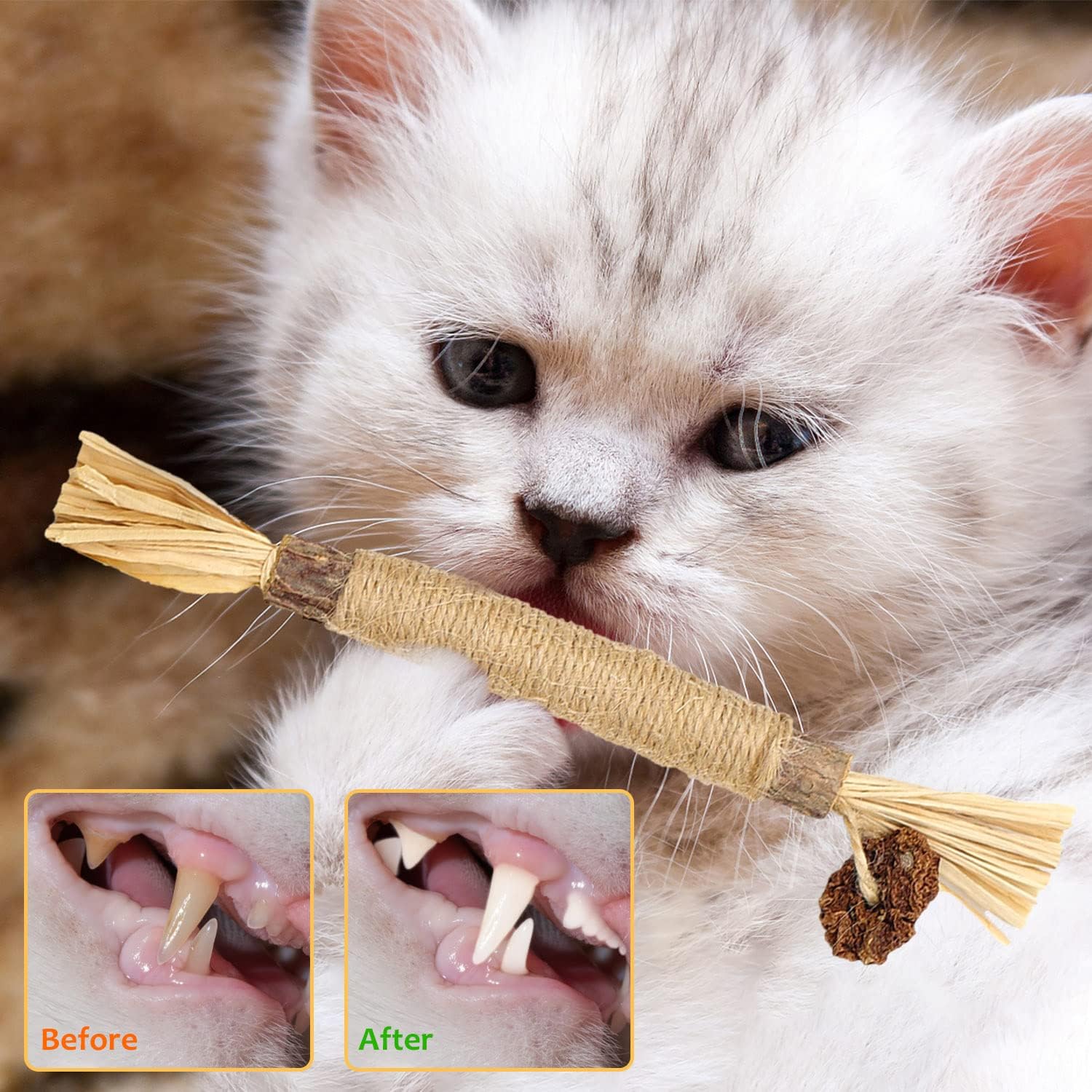 flowerstarry 6 Packs Natural Matatabi Silvervine | PetNestUK
