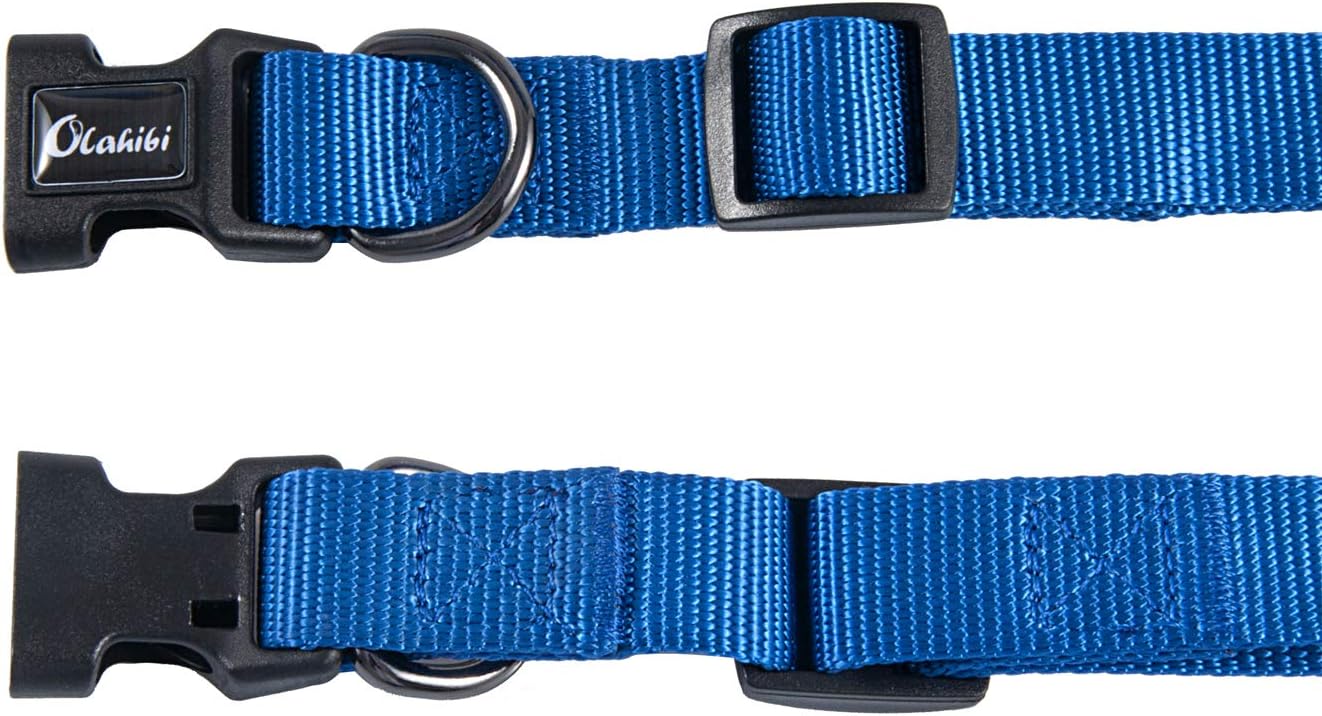 Olahibi Daisy Pattern Dog Collar and Leash | PetNestUK
