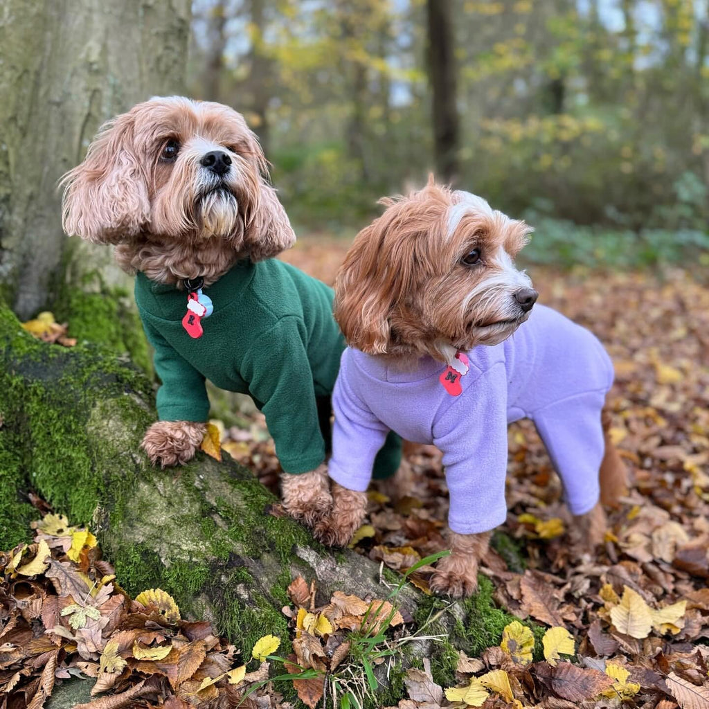 Warm Four-Legged Dog Fleece | PetNestUK