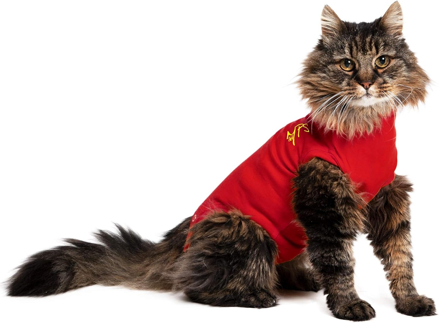 MPS Medical Pet Shirt Cat, Surgery Recovery | PetNestUK