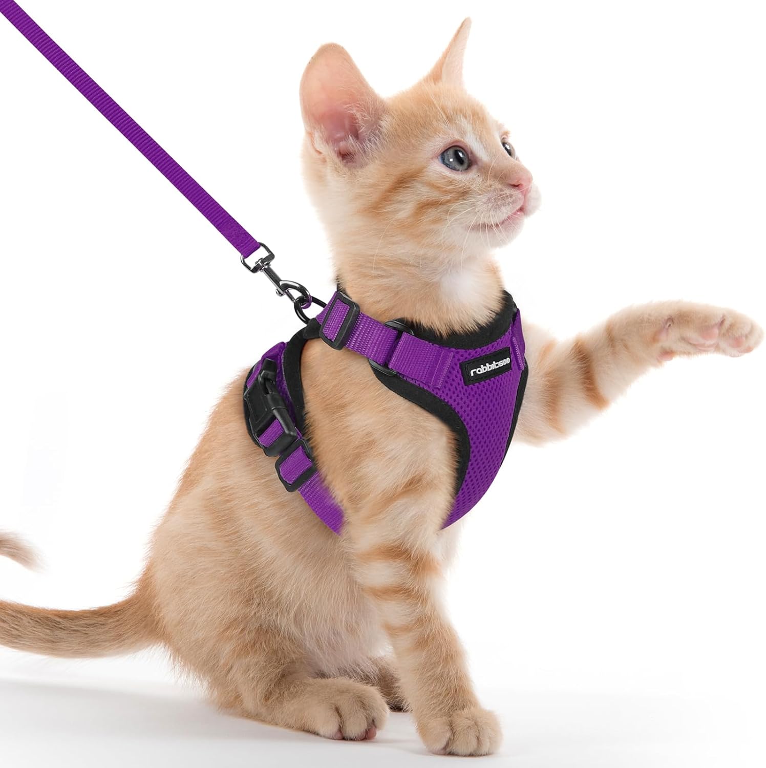 rabbitgoo Cat Harness and Lead Set, Escape Proof | PetNestUK