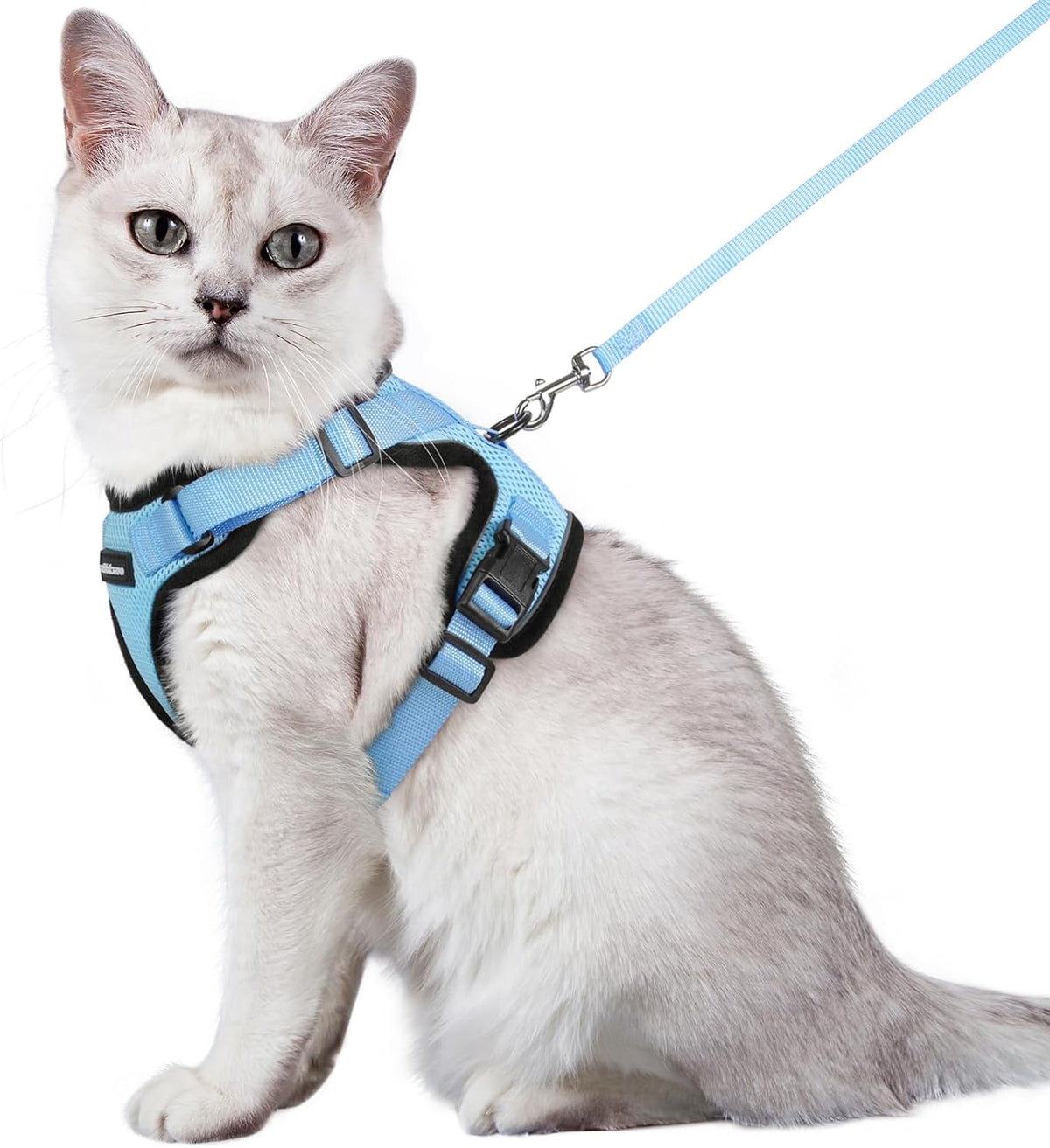 rabbitgoo Adjustable Cat Harness and Lead Set