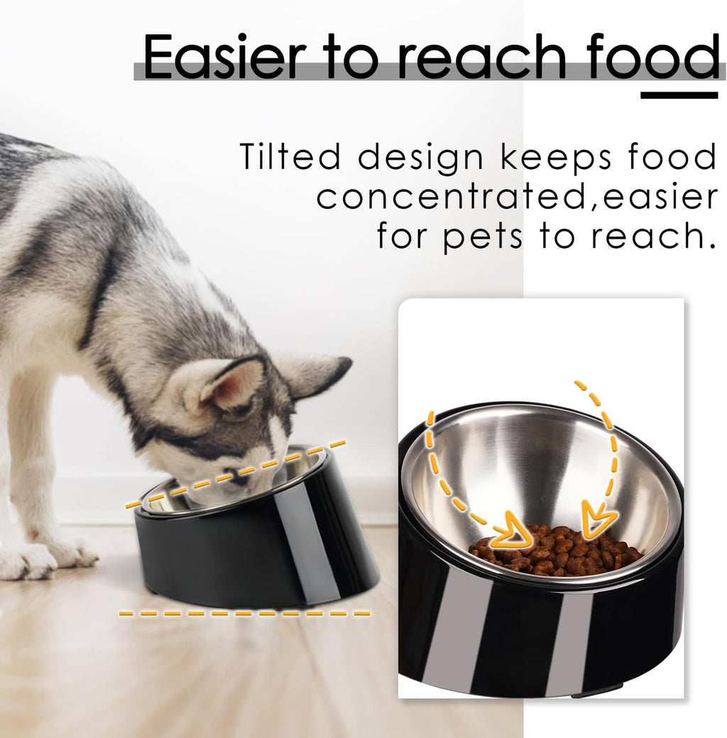 SuperDesign Mess Free 15° Slanted Bowl for Dogs | PetNestUK