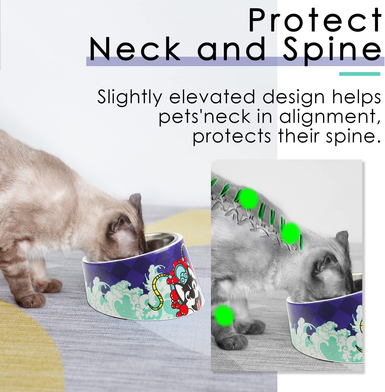 SuperDesign Mess Free 15° Slanted Bowl for Dogs | PetNestUK