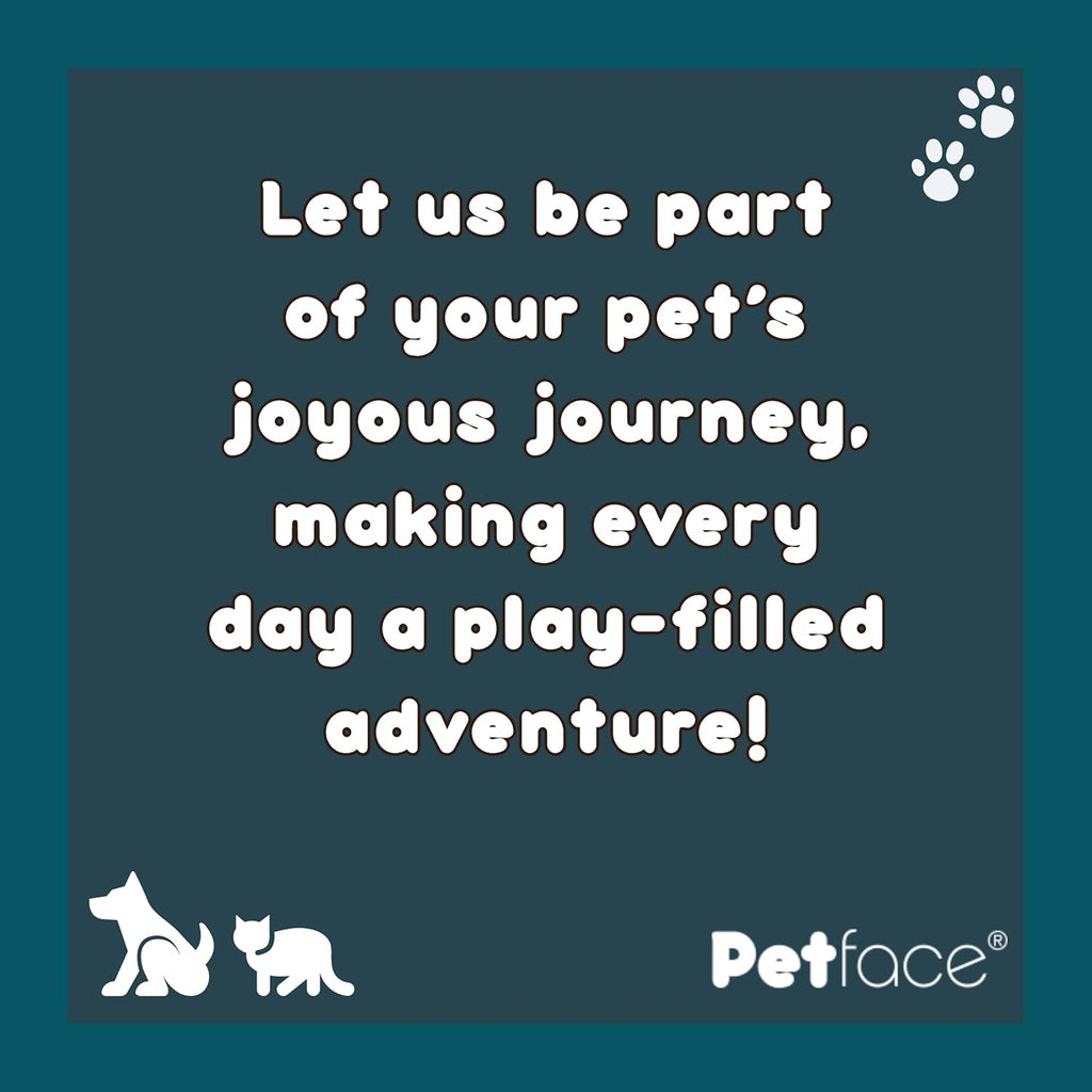Petface Latex Fruit and Vegetable Dog Toys