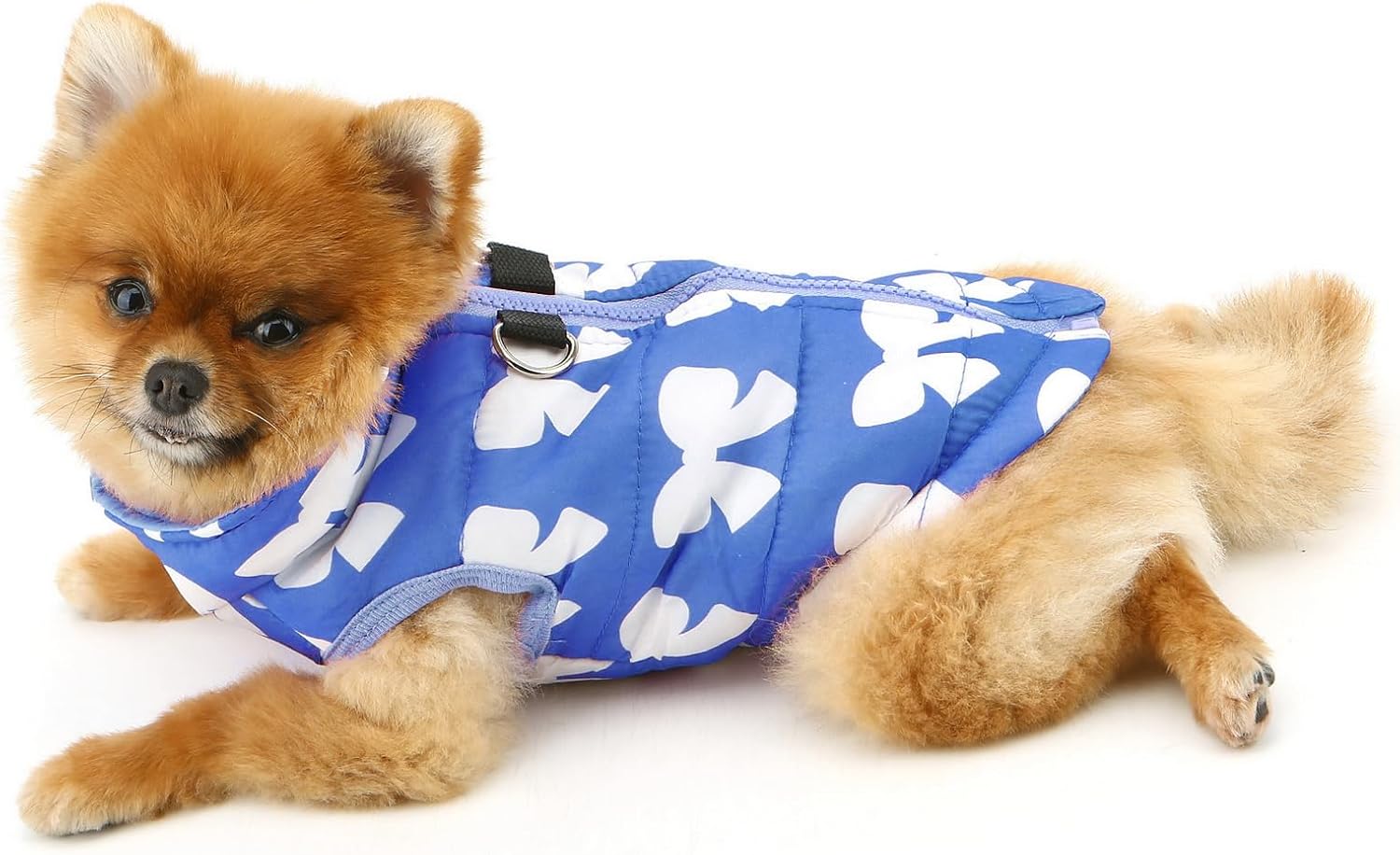 SMALLLEE_LUCKY_STORE Small Dog Cat Winter Coat | PetNestUK