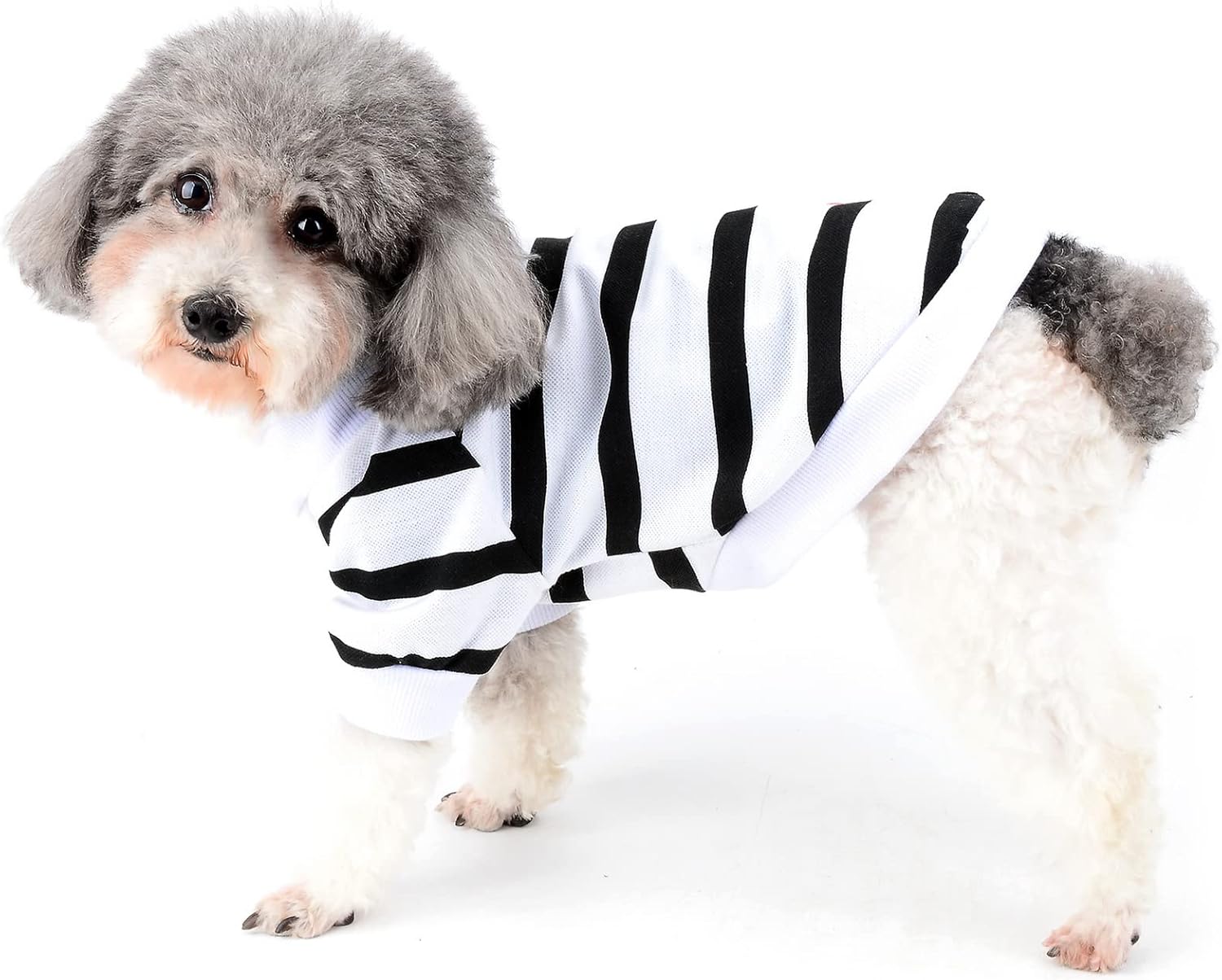 Zunea Dog Shirts for Small Dogs Summer Basic | PetNestUK