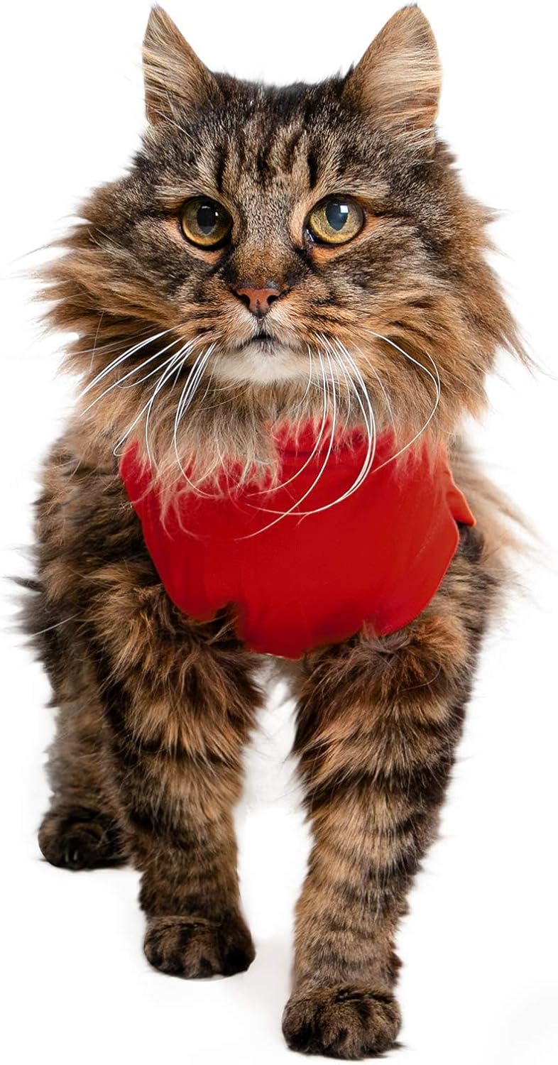 MPS Medical Pet Shirt Cat, Surgery Recovery | PetNestUK