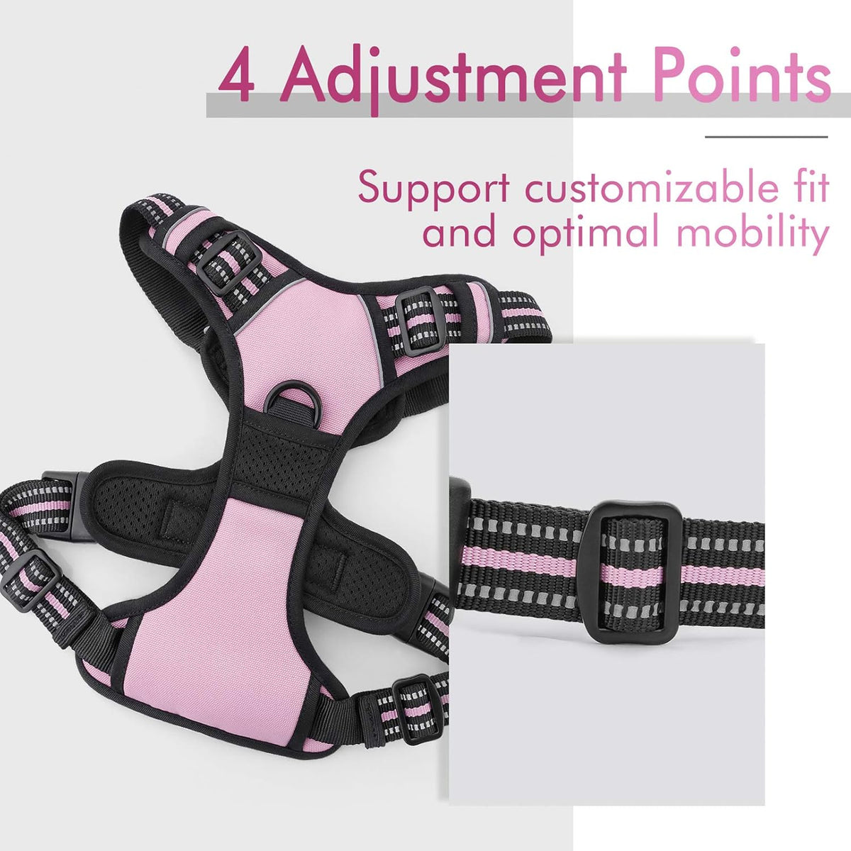 rabbitgoo Padded Dog Harness with Two Lead Clips